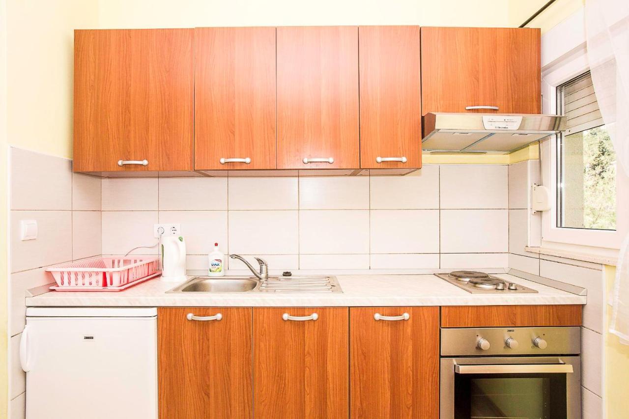 Apartment Krsticevic *